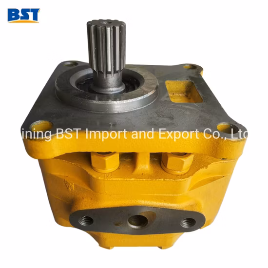 Shantui Caterpillar Escavadeira Cummins Weichai Isuzu Perkins Hidráulica/Água/Injeção de Combustível/Óleo/Engrenagem/Trabalho/Direção/Transmissão/Bomba de Engrenagens